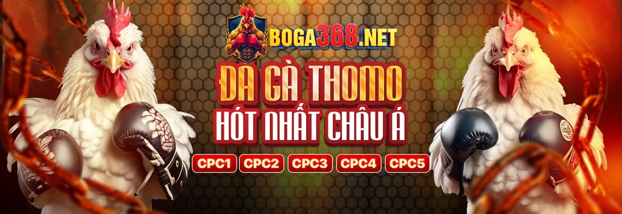 Tải APP Man88 Casino Chính Thức 2026